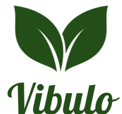 Vibulo